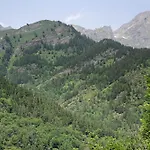 Carlina Tano Di Grich * Cesani