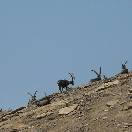 Апартаменты Carlina Tano Di Grich *
