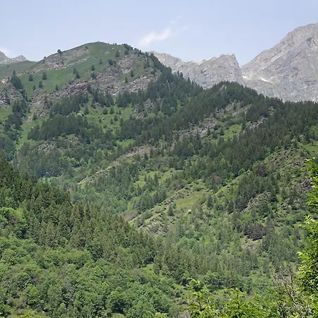 Carlina Tano Di Grich * Cesani