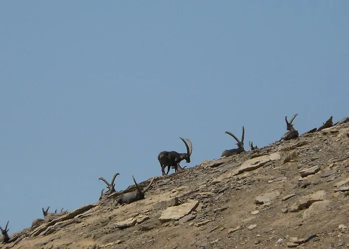 Apartamento Carlina Tano Di Grich *
